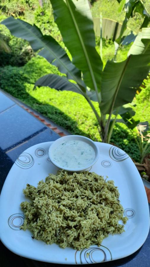 Tropical Wave Hostel Morjim Goa Kültér fotó